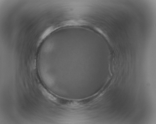 X0000082141459200702021557