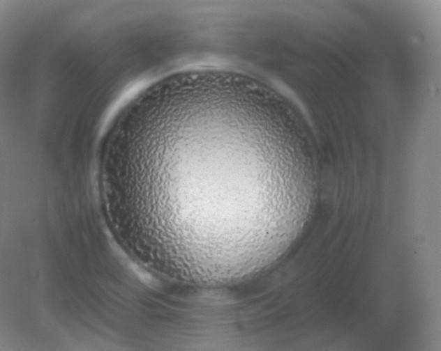 X0000082141464200702021556