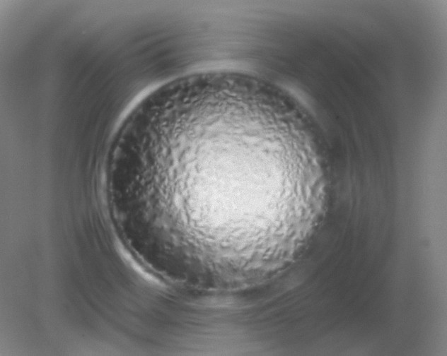 X0000082141468200702021556