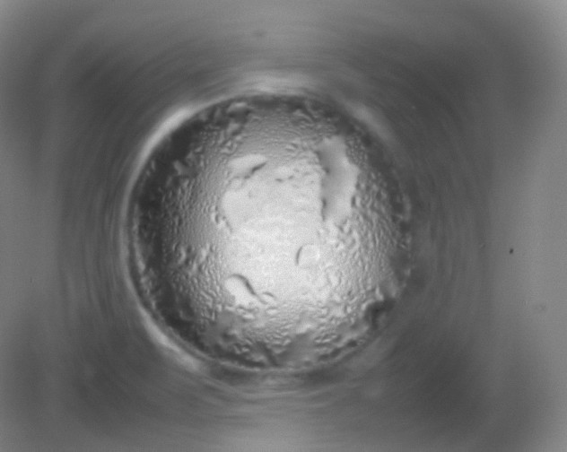 X0000082141471200702021556