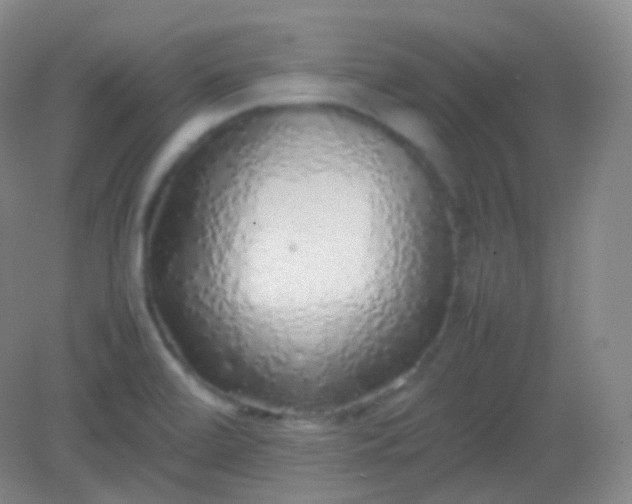 X0000082141472200702021556
