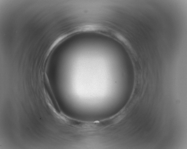 X0000082141473200702021556
