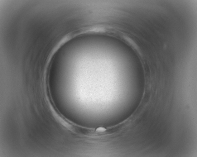 X0000082141475200702021556
