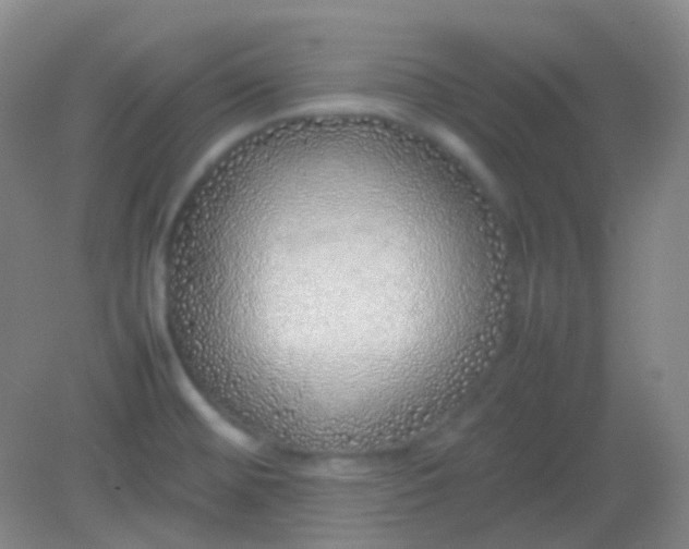 X0000082141476200702021556