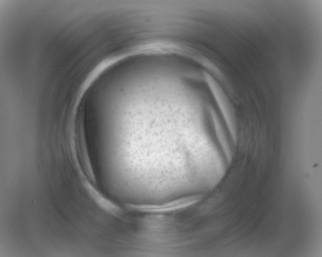 X0000082141478200702021556
