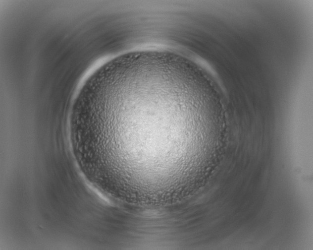 X0000082141480200702021556