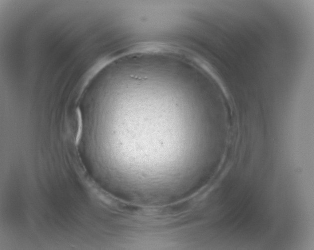 X0000082141481200702021556