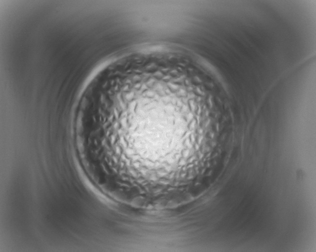 X0000082141483200702021556