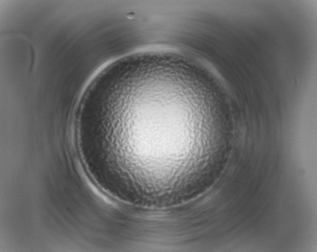 X0000082141484200702021556