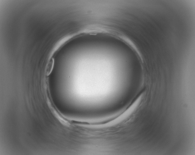 X0000082141485200702021556