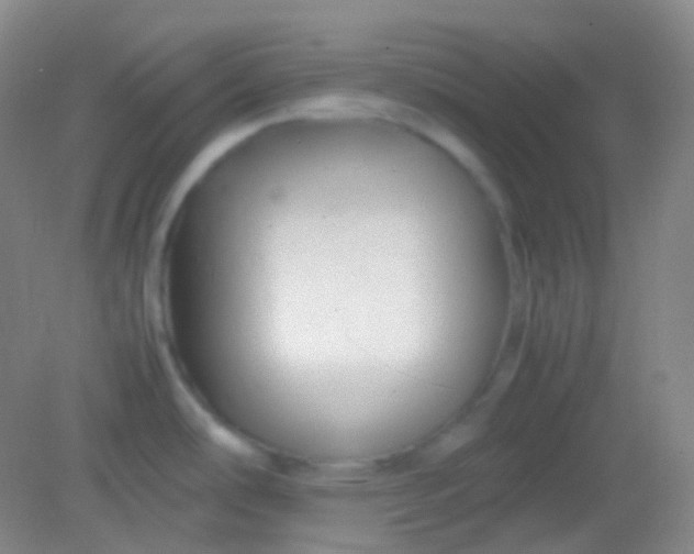 X0000082141486200702021556