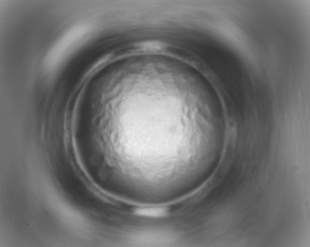 X0000082141487200702021556