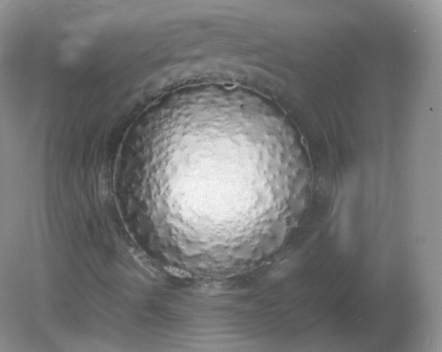 X0000082141490200702021555