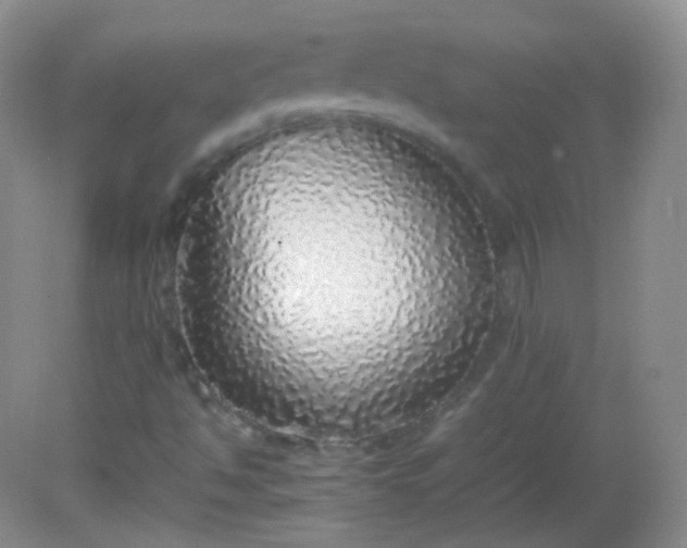 X0000082141494200702021555