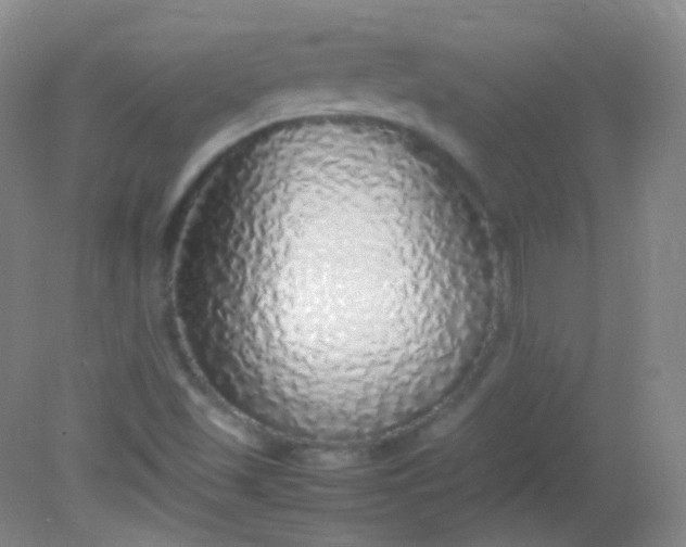 X0000082141501200702021555