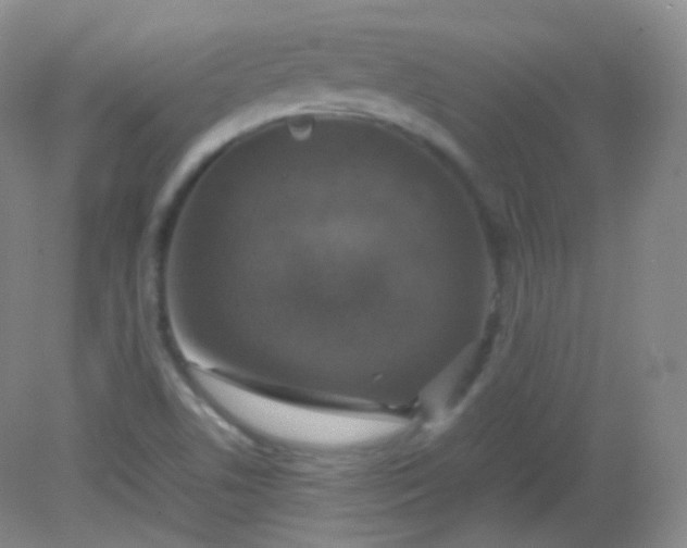 X0000082141506200702021556
