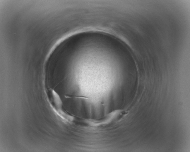 X0000082141508200702021556