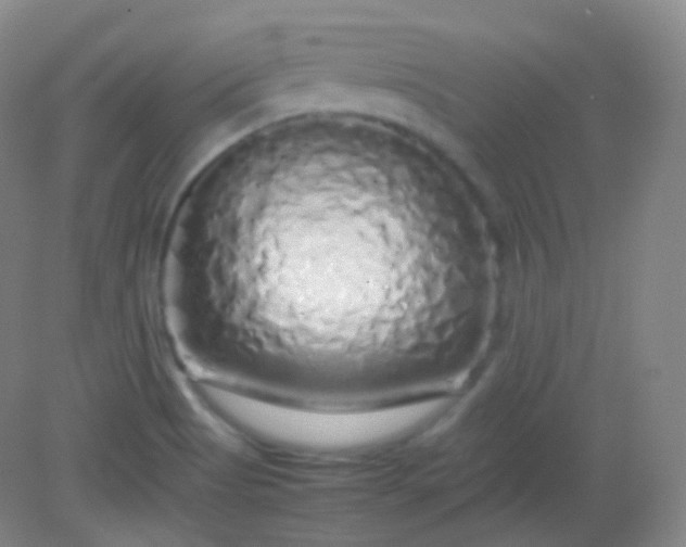 X0000082141513200702021556