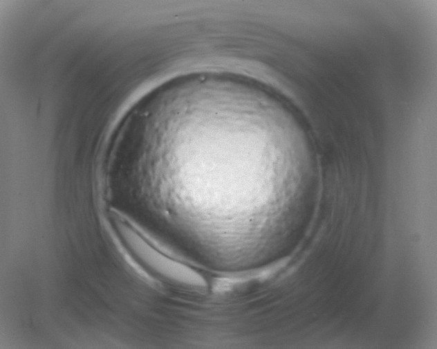 X0000082141517200702021556