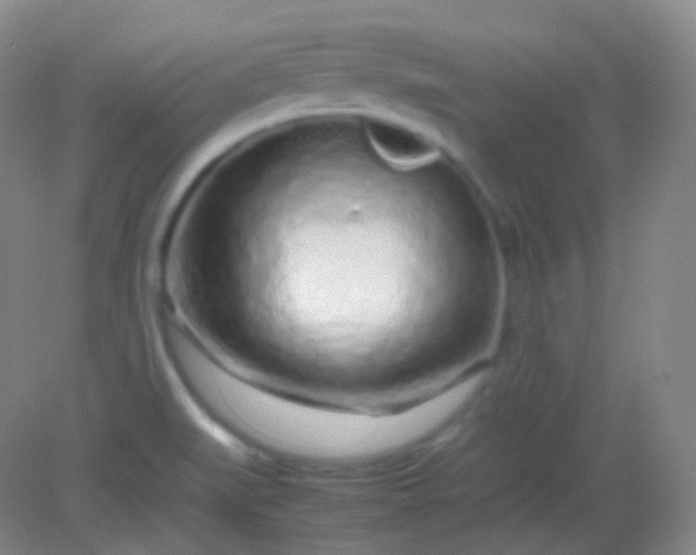 X0000082141519200702021556