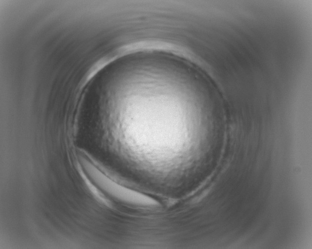 X0000082141521200702021556