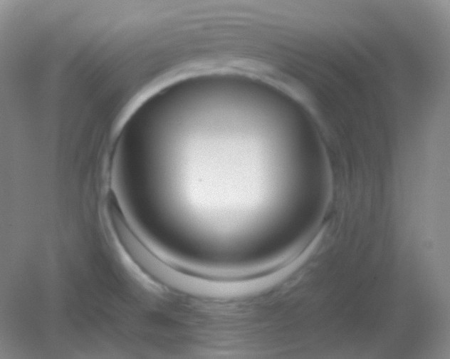 X0000082141524200702021556