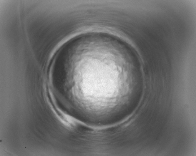X0000082141525200702021556