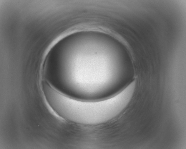 X0000082141528200702021556