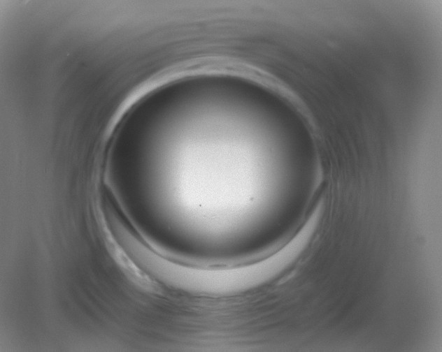 X0000082141530200702021556