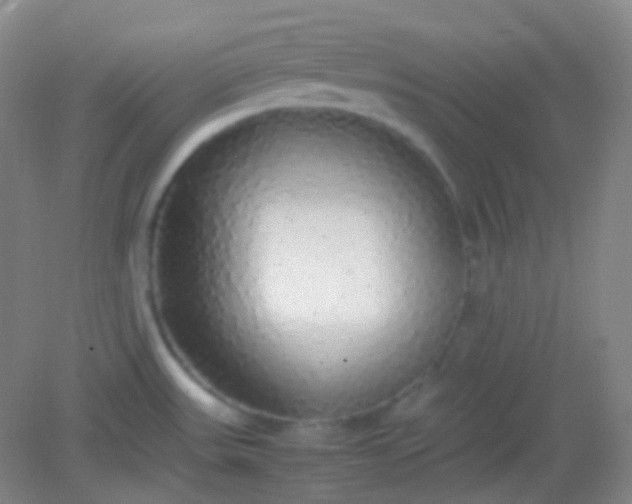 X0000082141531200702021556