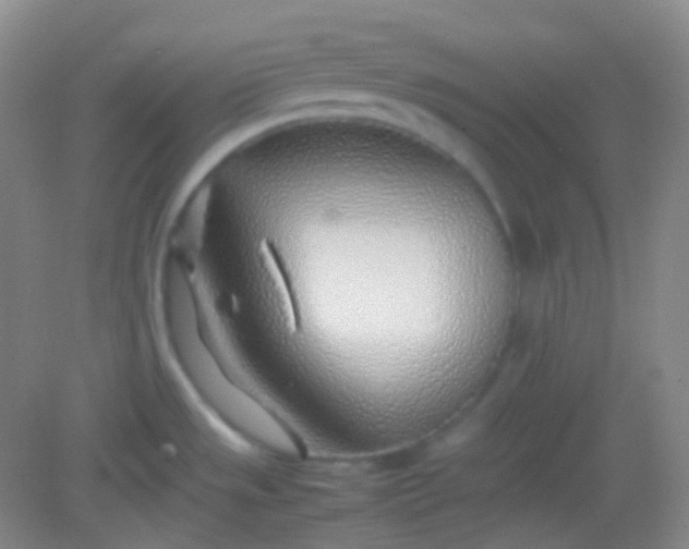 X0000082141533200702021556
