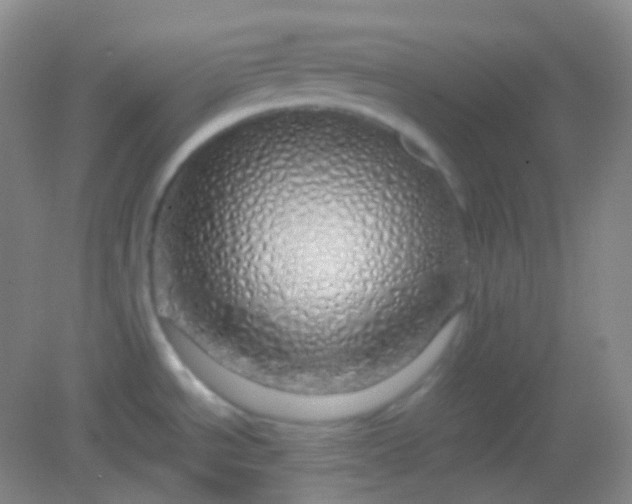 X0000082141534200702021556