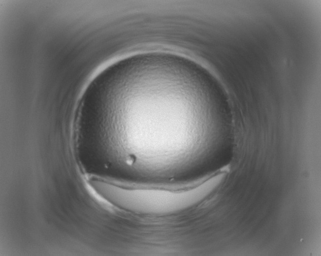 X0000082141535200702021556