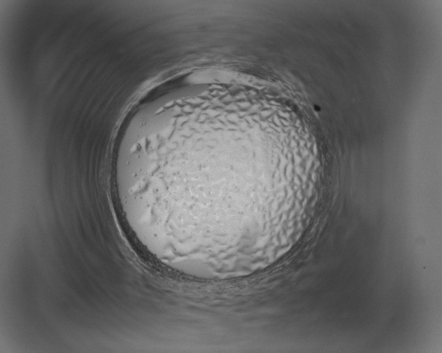 X0000082140003200702092137