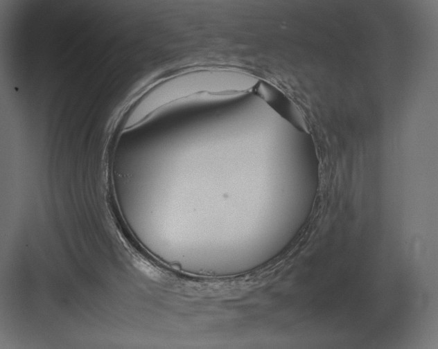 X0000082140005200702092137