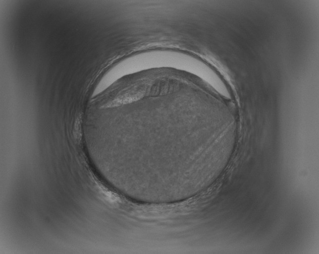 X0000082140009200702092137