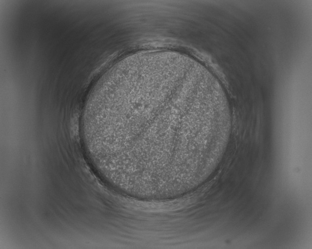 X0000082140010200702092137