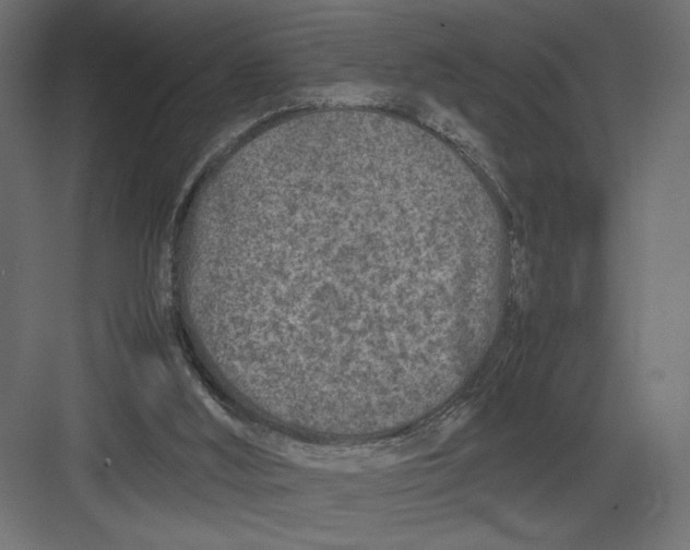 X0000082140012200702092137