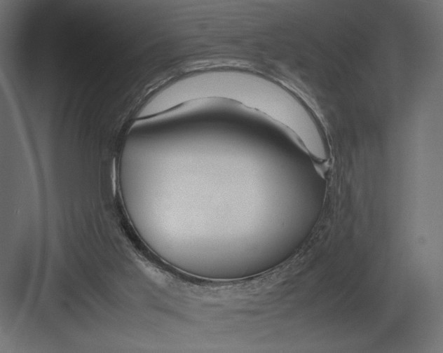 X0000082140013200702092137