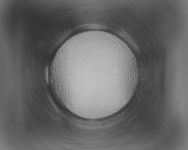 X0000082140014200702092137