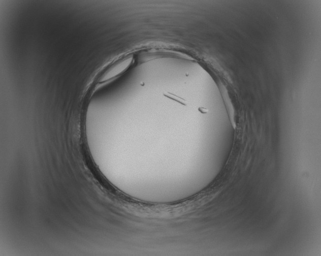 X0000082140015200702092137