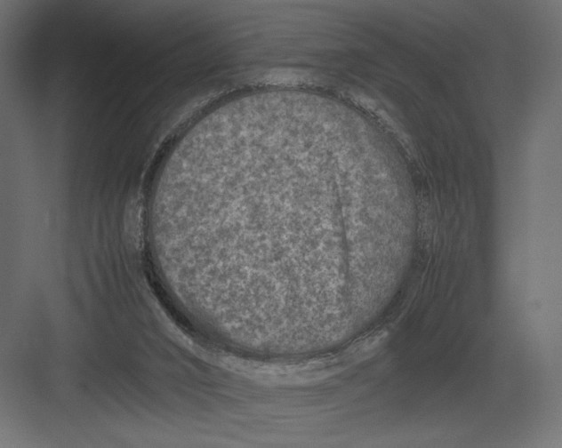 X0000082140016200702092137