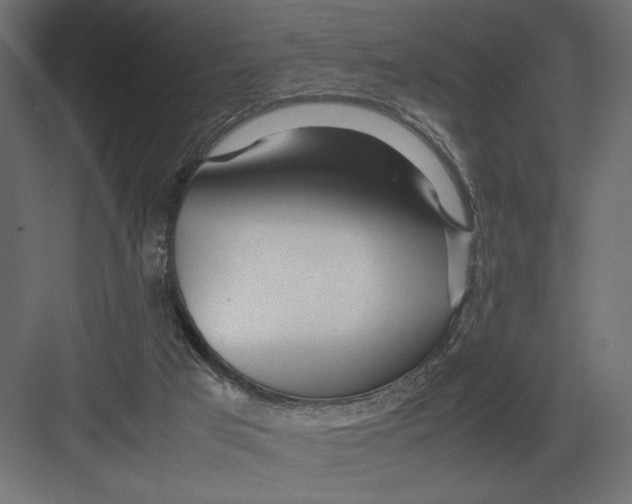 X0000082140017200702092137