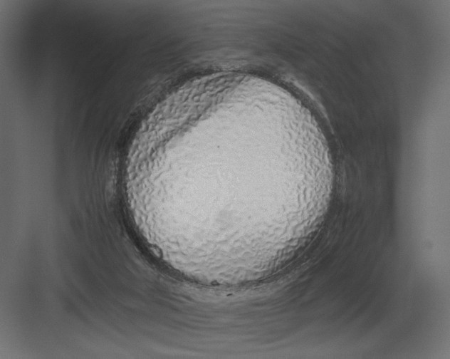 X0000082140018200702092137