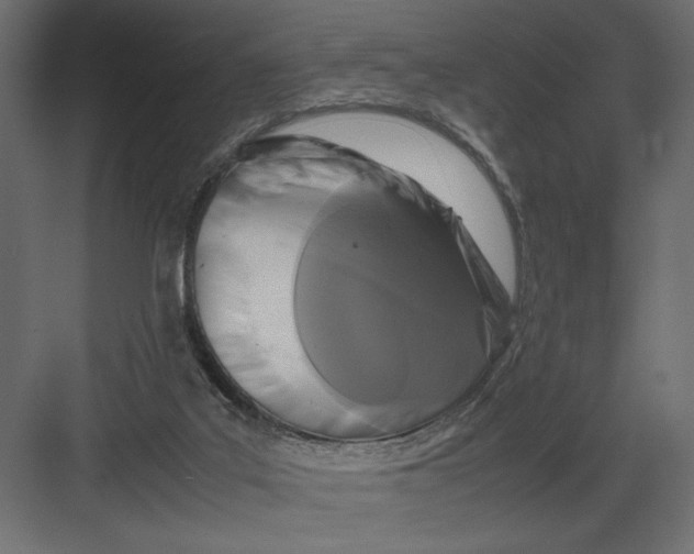 X0000082140019200702092137