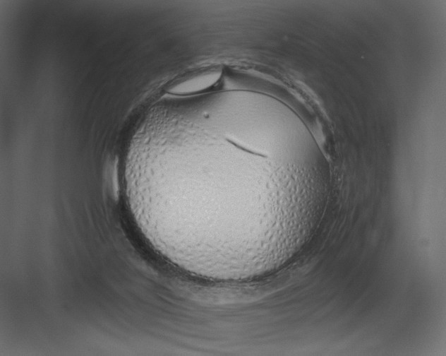 X0000082140020200702092137