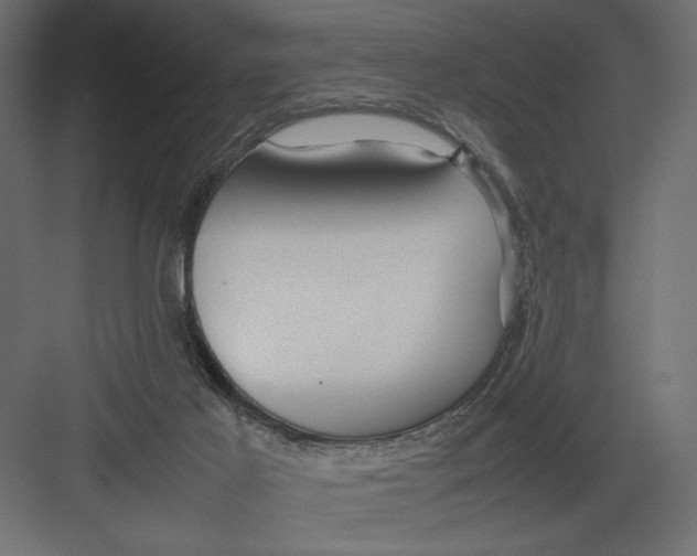 X0000082140021200702092137