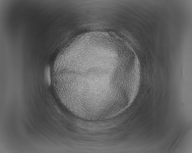 X0000082140022200702092137