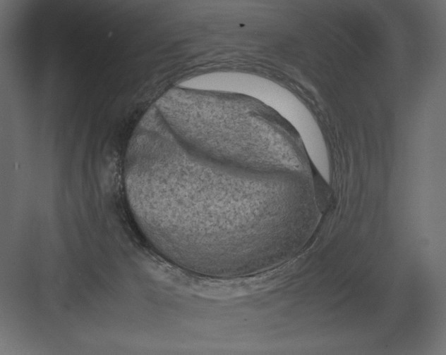 X0000082140029200702092137