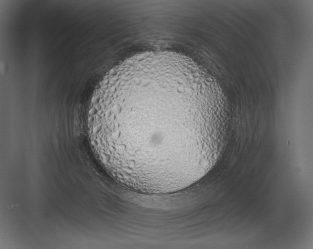 X0000082140030200702092137